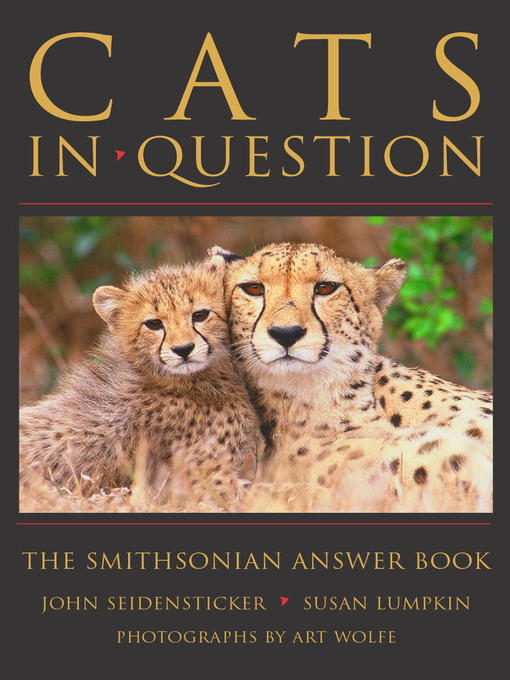 Title details for Cats in Question by John Seidensticker - Available